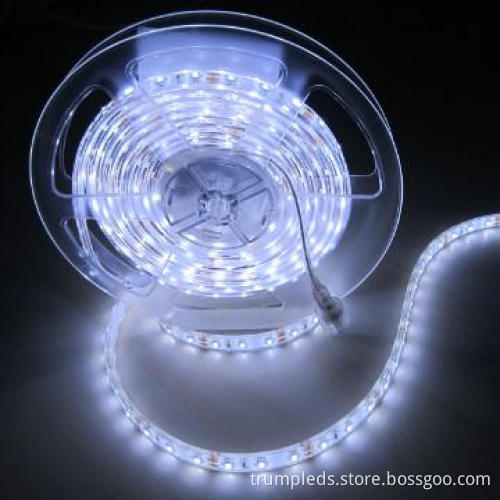 5M DC12V/24V 48W Cold White 120leds/m 3528 LED Strip